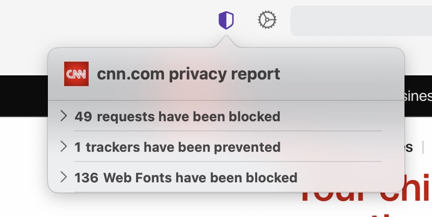 Blocking web fonts